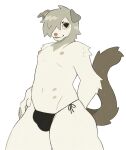  2023 6_nipples anthro arm_tuft black_eyes brown_nose brown_tail bulge button_ears canid canine canis digital_media_(artwork) domestic_dog elbow_tuft floppy_ears fur green_ears green_hair green_neck hair hand_behind_back hi_res looking_aside male mammal multi_nipple navel nipples portrait pup_(micerunt) shoulder_tuft simple_background skimpy_underwear smile solo tail tail_tuft tan_body tan_fur tan_sclera three-quarter_portrait tuft white_background yakpup 