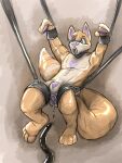  absurd_res anthro bdsm blue_eyes bondage bound bulge canid canine chastity_bulge chastity_device clothing collar drone fox glistening glistening_body hi_res implied_chastity latex male mammal null_bulge open_mouth rubber rubber_clothing rubber_suit simple_background snickersthecat solo tentacles travisthefox 
