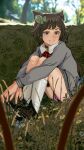  1girl 3: animal_ears black_choker blurry bokeh brown_eyes brown_footwear brown_hair bug butterfly cat_ears check_commentary choker closed_mouth collared_shirt commentary commentary_request depth_of_field ear_ribbon grass grey_sweater highres hugging_own_legs ira_(servachok) long_hair looking_at_viewer necktie on_ground original panties pantyshot partially_translated purple_panties red_necktie russian_commentary russian_text scenery servachok shirt socks solo sweater translation_request underwear white_socks 