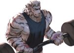 1boy animal_ears arknights backlighting bara barbell black_shorts black_tank_top blue_eyes bulge clenched_teeth deadlift exercise facial_hair from_above furry furry_male goatee highres hinnab_art large_hands large_pectorals male_focus mature_male mountain_(arknights) muscular muscular_male nipples pectorals scar scar_across_eye shiny_skin short_hair short_shorts shorts sidepec solo sweat tank_top teeth thick_eyebrows tiger_boy tiger_ears white_hair 