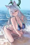  1girl absurdres aernius animal_ears beach bikini blue_archive blue_eyes blush breasts broken_halo cleavage closed_mouth cross_hair_ornament dark_halo extra_ears grey_hair hair_ornament hairclip halo highres large_breasts long_hair mismatched_pupils outdoors shiroko_(blue_archive) shiroko_terror_(blue_archive) solo swimsuit very_long_hair wolf_ears 