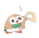  animal animal_focus beak bird bow bowtie brown_feathers cheek_pinching cheek_pull disembodied_limb feathers full_body green_bow green_bowtie ikuchi_osutega looking_at_another o_o owl pinching pokemon pokemon_(creature) rowlet simple_background translation_request white_background white_feathers 