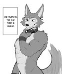  2023 anthro beastars canid canine canis clothed clothing collar collar_only english_text fur hi_res jrjresq legoshi_(beastars) looking_away male mammal monochrome muscular muscular_anthro muscular_male nude scar simple_background smile solo tail text topless topless_anthro topless_male wolf 