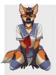 anthro canid canine clothed clothing fox fur himme male male/male mammal solo 