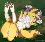  absurd_res anonsouthpaw anthro areola bandai_namco breasts canid canine digimon digimon_(species) female fur genitals hi_res inverted_nipples mammal nipples nude pussy renamon solo tail yellow_body yellow_fur 