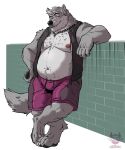 2023 anthro belly body_hair bottomwear bulge canid canine chain_necklace chest_hair clothed clothing crossed_legs feet hi_res jewelry leaning looking_at_viewer male mammal manly mature_male navel necklace nipples open_clothing open_topwear open_vest overweight overweight_male purple_bottomwear purple_clothing purple_shorts raised_arm shorts solo topwear vest xantouke 
