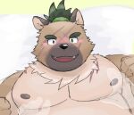  7numpla anthro belly blush brown_body brown_fur canid canine canis disembodied_hand domestic_dog duo fur groping_chest hi_res lifewonders male mammal musclegut nipples pecs scar shirtless tokyo_afterschool_summoners topknot translucent translucent_body yasuyori 