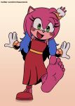  5_toes amy_rose eulipotyphlan feet female green_eyes hedgehog hi_res mammal mrchasecomix pink_body sega soles sonic_the_hedgehog_(series) the_murder_of_sonic_the_hedgehog toes 
