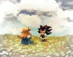  1boy 1girl 9474s0ul animal_ears animal_nose blonde_hair blue_dress closed_mouth cloud commentary day dress english_commentary field flower flower_field flower_wreath furry furry_male gloves holding_wreath long_hair looking_at_another maria_robotnik outdoors shadow_the_hedgehog shoes sitting smile sonic_(series) standing white_gloves 