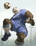  1boy animal_ears artist_request ball bara blue_shorts bulge calf facial_hair from_below furry furry_male goatee highres large_pectorals legs_apart male_focus muscular muscular_male original panda_boy panda_ears pectorals playing_sports sanpaku short_hair shorts soccer soccer_ball soccer_uniform solo sportswear strongman_waist thick_eyebrows thick_thighs thighs 