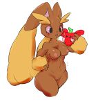  anthro breasts brown_body censored cottontail female generation_4_pokemon genitals hi_res lopunny nintendo nipples nude pokemon pokemon_(species) pussy simple_background solo thick_thighs white_background 