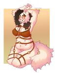  absurd_res accessory anthro atlas_(thunder4361) belly black_hair bra breasts canid canine canis chain clothing female fluffy garter hair harness heterochromia hi_res long_hair mammal shy slightly_chubby smile solo thick_thighs thunder4361 underwear wolf 
