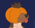  anthro canid canine canis davias00 digital_media_(artwork) domestic_dog food fruit fur hair male mammal plant pumpkin pumpkin_head simple_background solo tongue tongue_out 