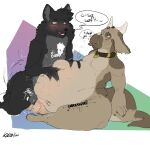  1:1 anthro anthro_pred balls belly big_belly bodily_fluids bodily_noises canid canine canis dialogue digestion domestic_dog duo english_text erection fatal_vore fur genital_fluids genitals hair hi_res husky hybrid itskorrie kobold male male/male mammal nordic_sled_dog nude oral_vore penis reptile rumbling_stomach scalie shiriko_(character) simple_background smile sound_effects spitz text videlthewusky vore wolf wolfdog 