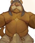  2023 anthro blush brown_body brown_fur clothed clothing domestic_ferret erection erection_under_clothing facial_hair fur hi_res husbando_maker killconey male mammal mature_male musclegut mustache mustelid musteline one_eye_closed redwall simple_background solo true_musteline weasel 