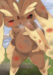  absurd_res ambiguous_gender angry anthro blood blush bodily_fluids brown_body butt duo generation_4_pokemon hi_res looking_at_viewer lopunny nintendo open_mouth pokemon pokemon_(species) prrrrrrmine red_eyes sweat wounded 