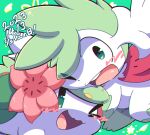  :3 animal_focus character_name chromatic_aberration commentary_request dated flower green_background green_eyes green_hair green_theme happy looking_at_another nettsuu no_humans one_eye_closed open_mouth pink_flower pokemon pokemon_(creature) shaymin shaymin_(land) shaymin_(sky) short_hair smile teeth translated wide-eyed 