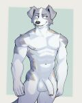  2023 anthro balls blue_eyes border canid canine canis domestic_dog flaccid floppy_ears foreskin fur genitals green_background grey_eyes hi_res humanoid_genitalia humanoid_penis jrjresq male mammal muscular muscular_anthro muscular_male nipples pecs penis portrait simple_background smile solo standing three-quarter_portrait unretracted_foreskin white_body white_border white_fur 