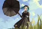  1girl absurdres aqua_hair black_dress black_gloves black_headwear black_umbrella closed_mouth cloud day dress elbow_gloves gloves grass green_eyes highres holding holding_umbrella looking_at_viewer medium_hair monogatari_(series) nemo_ringo ononoki_yotsugi outdoors puffy_short_sleeves puffy_sleeves short_eyebrows short_sleeves solo thick_eyebrows umbrella 