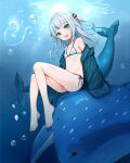  1girl :d air_bubble bare_shoulders barefoot bikini blue_eyes blue_hair blue_jacket blunt_bangs bubble commentary_request dot_nose feet fins fish fish_tail flat_chest gawr_gura grey_hair hair_ornament hololive hololive_english jacket knees_up legs long_hair looking_at_viewer luckyeldayo making-of_available multicolored_hair navel off_shoulder one_side_up open_clothes open_jacket open_mouth shark_girl shark_hair_ornament shark_tail sharp_teeth side-tie_bikini_bottom sitting_on_animal smile solo stomach streaked_hair string_bikini swimsuit tail teeth toes underwater upper_teeth_only virtual_youtuber whale_shark white_bikini 