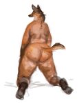  2023 ambiguous_gender anthro big_butt butt canid canine cettus feet fox fur kneeling looking_back mammal orange_body orange_fur rear_view simple_background slightly_chubby slightly_chubby_anthro smile solo tail white_background 