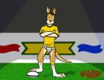  anthro artificial_turf black_nose bored briefs brown_body brown_fur brown_hair clothing crossed_arms footwear foxmanad fur green_seam_shirt green_seam_t-shirt hair half-closed_eyes kangaroo macropod male mammal marsupial narrowed_eyes outside pantsless rugby rugby_ball rugby_shirt shirt signature skinny_male socks solo t-shirt tan_body tan_fur tighty_whities toeless_footwear toeless_socks topwear underwear white_briefs white_clothing white_footwear white_socks white_underwear yellow_clothing yellow_shirt yellow_topwear 