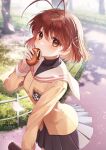  1girl absurdres antenna_hair bag black_shirt blurry brown_eyes brown_hair cherry_blossoms clannad cowboy_shot dappled_sunlight depth_of_field eating english_commentary falling_petals food furukawa_nagisa grass hair_ornament hairclip hand_up highres holding holding_bag holding_food jacket long_sleeves looking_at_viewer outdoors petals plaid plaid_skirt pleated_skirt sailor_collar school_bag school_uniform shirt short_hair siole skirt solo spring_(season) standing sunlight turtleneck yellow_jacket 