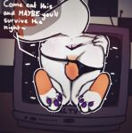  2023 anthro anus backsack balls big_tail butt canid canine clothed clothing clothing_aside dialogue digital_media_(artwork) english_text feet five_nights_at_freddy&#039;s five_nights_at_freddy&#039;s_world fox fur genitals hand_on_butt kneeling legs_together lolbit_(fnaf) male mammal orange_body orange_fur paws presenting presenting_hindquarters scottgames sister_location solo spread_anus spreading spyromancer stretched_anus tail talking_to_viewer television text underwear underwear_aside underwear_only white_body white_fur white_text 