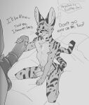  anthro bed dialogue duo equid equine felid feline furniture greyscale handjob hi_res imminent_sex kneeling male male/male mammal monochrome multi_nipple nipples offscreen_character on_bed penile serval servali_sketch sex solo_focus thought_bubble 