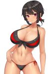  1girl abc_(type5_labyrith) bikini black_hair blush breasts dark-skinned_female dark_skin large_breasts looking_at_viewer pokemon pokemon_(game) pokemon_oras red_eyes ringed_eyes short_hair short_ponytail side-tie_bikini_bottom simple_background smile solo swimsuit white_background zinnia_(pokemon) 