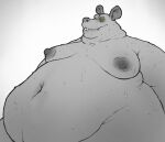  anthro belly big_belly bodily_fluids crimetxt green_eyes hi_res male mammal moobs murid murine navel nipples obese obese_anthro overweight overweight_anthro overweight_male rat rodent simple_background solo sweat 
