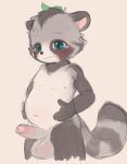  2023 absurd_res anthro areola balls belly big_balls black_body black_fur blue_eyes blush bodily_fluids canid canine colored_sketch digital_media_(artwork) ear_markings erection fluffy fluffy_tail foreskin fur genitals glans grey_body grey_fur guide_lines hands_on_belly hi_res humanoid_genitalia humanoid_penis kemono leaf_on_head lotte_cherman male mammal markings navel nipples nude penis raccoon_dog shy simple_background sketch slightly_chubby solo tail tanuki tears translucent uncensored white_body white_fur worried young 