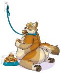  2021 anthro belly belly_overhang big_belly big_butt blue_eyes burger butt canid canine canis collar coyote eating food fur hi_res kneeling leash male mammal nonbinary_(lore) obese obese_anthro obese_male overweight overweight_anthro overweight_male paws pet_bowl rain_(vanillayote) simple_background solo tail tan_body tan_fur vanillayote 