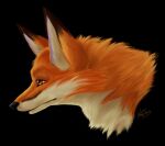  2013 ambiguous_gender black_background black_nose canid canine dipstick_ears feral fox fur inner_ear_fluff mammal moxifoxi multicolored_body multicolored_ears multicolored_fur orange_body orange_eyes orange_fur simple_background solo tan_inner_ear_fluff tuft 