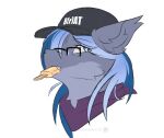  bandanna bat_pony clothing equid equine eyewear food glasses hasbro hat headgear headwear hi_res horse kerchief male mammal midnight_snowstorm my_little_pony pony snowstormbat solo 