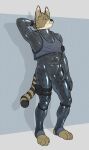  absurd_res anthro bulge clothing felid feline gear hi_res latex looking_at_viewer male mammal rubber rubber_clothing rubber_suit serval solo 