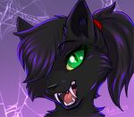 anthro black_body black_fur black_hair canid canine face_only fangs female fox fur green_eyes hair looking_at_viewer mammal open_mouth ponytail rukifox solo spider_web teeth yellow_sclera 