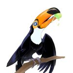  ambiguous_gender avian beak bird branch eating feral food fruit hi_res krossan_(artist) plant simple_background solo talons toucan white_background 