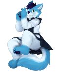  anthro canid canine canis clothed clothing crossdressing domestic_dog girly hi_res husky hybrid looking_at_viewer maid_uniform male mammal nordic_sled_dog one_eye_closed partially_clothed paws shockstk solo spitz uniform wink winking_at_viewer wintie wolf 