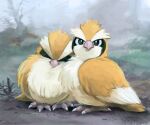  2others ambiguous_gender bird black_eyes bright_pupils closed_eyes full_body multiple_others no_humans outdoors pidgey pokemon sleeping standing talons uninori white_pupils 