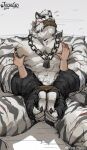  1boy abs animal_ears arknights bandaged_hand bandages bara blush bound bound_wrists chain_necklace covering covering_crotch disembodied_limb facial_hair feet_out_of_frame flying_sweatdrops furry furry_male gag goatee grabbing highres improvised_gag jewelry large_hands large_pectorals lying male_focus mountain_(arknights) muscular muscular_male necklace nipple_press nude on_back pectoral_grab pectorals scar scar_across_eye scar_on_arm short_hair solo_focus stomach tape tape_gag thick_eyebrows thick_thighs thighs tiger_boy tiger_ears trtoutoongo white_hair 