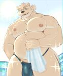  absurd_res anthro beach bear belly bulge clothing eyebrows eyewear fur glasses hi_res leib_(tas) lifewonders male mammal musclegut nipples pecs polar_bear seaside silkybubbletea solo speedo swimwear thick_eyebrows tokyo_afterschool_summoners towel ursine white_body white_fur 