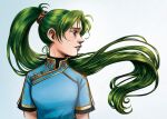  1girl china_dress chinese_clothes courtneygodbey curtained_hair drawing dress english_commentary fire_emblem fire_emblem:_the_blazing_blade from_side green_eyes lyn_(fire_emblem) portrait short_sleeves simple_background solo two-tone_background upper_body 