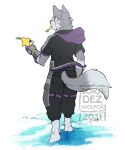  canid canine canis clothing dipstick_tail food fruit fur gloves handwear hi_res kingdom_hearts male mammal markings plant sea solo soraawoolf square_enix tail tail_markings tieg_graywolf walking water white_body white_fur wolf 
