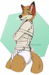  anthro bdsm blue_eyes bondage bound canid canine canis coyote diaper eviescribbles hi_res male mammal restraints simple_background solo straitjacket white_background 