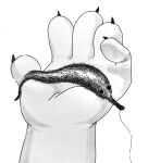  anthro claws female googly_eyes hi_res holding_animal holding_object looking_at_viewer micro monochrome paws solo squirmle twistcmyk 