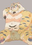  2023 absurd_res anthro belly big_belly blush bulge clothed clothing erection erection_under_clothing eyewear felid glasses hi_res kemono male mammal moobs navel nipples overweight overweight_male pantherine simple_background solo tachiuo tiger underwear 
