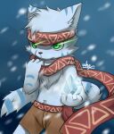  2016 anthro artist_name blue_body blue_fur bottomwear clothed clothing fur green_eyes hi_res ice looking_forward magic_user male mammal partially_clothed red_scarf scarf shorts snow snowing solo whywhyouo 