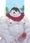  2023 anthro balls barazoku bear big_muscles big_pecs big_penis blush bodily_fluids curved_penis dripping epic_games erection eye_patch eye_scar eyewear facial_scar foreskin fortnite front_view fur genital_fluids genitals half-length_portrait headgear hi_res huge_muscles humanoid_genitalia humanoid_penis k_csly male mammal mostly_nude musclegut muscular muscular_anthro muscular_male nipples pecs penis polar_bear polar_patroller portrait precum precum_drip pubes retracted_foreskin scar solo ursine vein veiny_penis white_body white_fur 