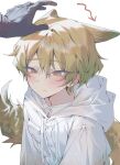  1boy 1other animal_ears black_gloves blonde_hair blush closed_mouth coat dante_(limbus_company) devy_lobotomy e.g.o_(project_moon) fox_boy fox_ears fox_tail gloves highres hood hood_down hooded_coat limbus_company long_sleeves out_of_frame pocket project_moon simple_background sinclair_(limbus_company) tail white_background white_coat white_raincoat yellow_eyes 